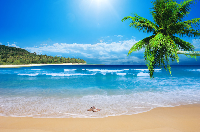 夏日椰树海报背景psd设计背景_88icon https://88icon.com psd分层素材 夏日海滩美女椰树 夏日海滩美女椰树模板下载 大海 椰树 沙滩 海滩 白云 美女 蓝天