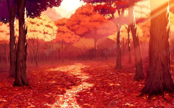 红色的森林背景画面背景