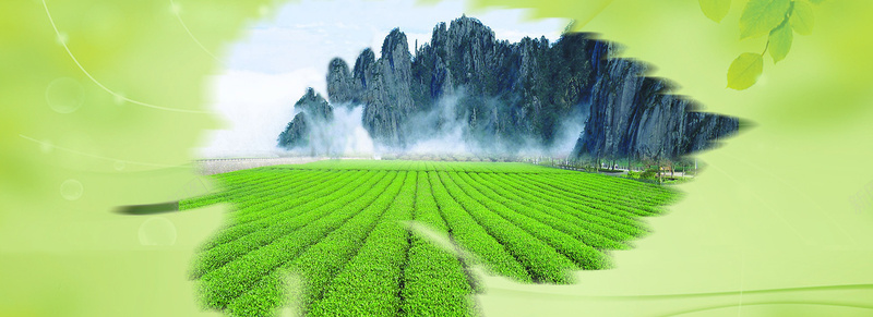 中国风古典茶叶文化banner摄影图片