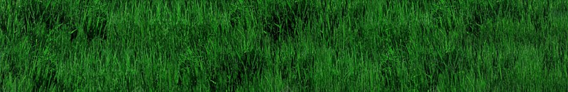 可爱的小熊儿童影楼背景布jpg_88icon https://88icon.com 卡通儿童影楼背景 可爱的小熊儿童影楼背景布 天蓝色 小熊 摄影 温暖 爬山虎 窗户 背景墙 草地 青色 风景 鲜花