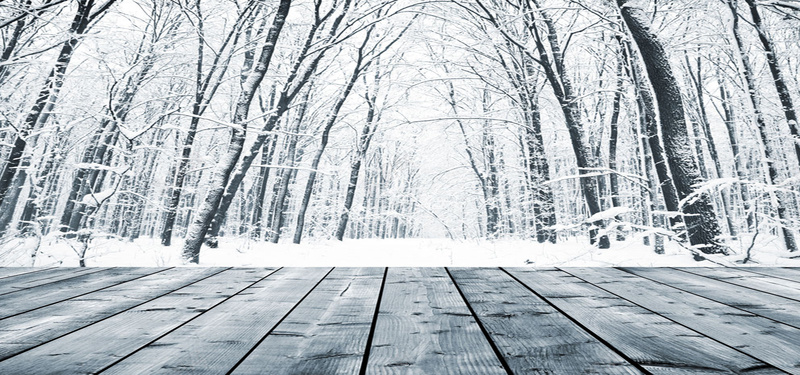 冬季森林前面的木板背景