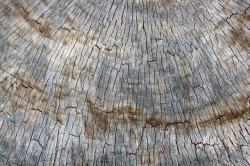 木板裂纹背景素材