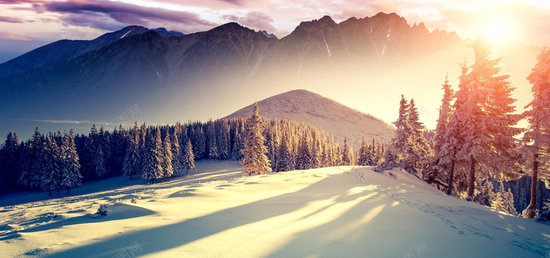 淘宝背景bannerjpg设计背景_88icon https://88icon.com 户外 户外用品 松树 海报banner 登山 背景banner 雪山 风景