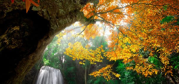 秋季树林瀑布背景背景