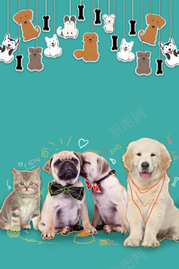 宠物之家爱宠小屋背景