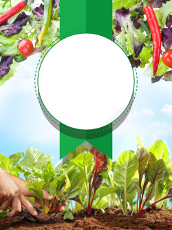 蔬菜农场有机蔬菜新鲜配送广告海报背景高清图片