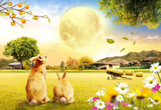 浪漫温馨田园风光兔子背景摄影图片