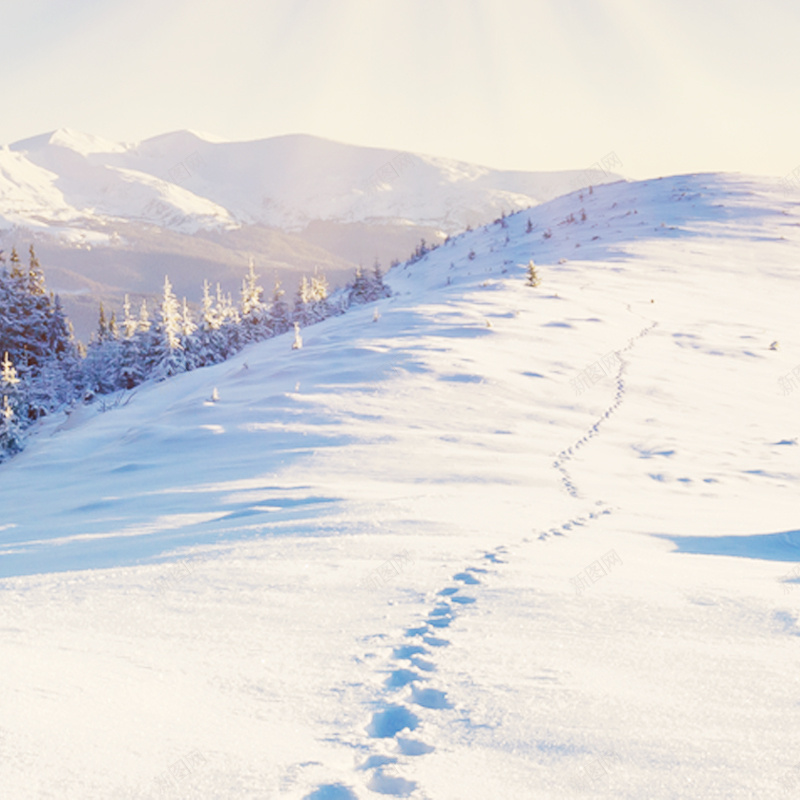 雪景主图psd_88icon https://88icon.com 下雪 主图 冬季 摄影 男包 男鞋 雪景 风景