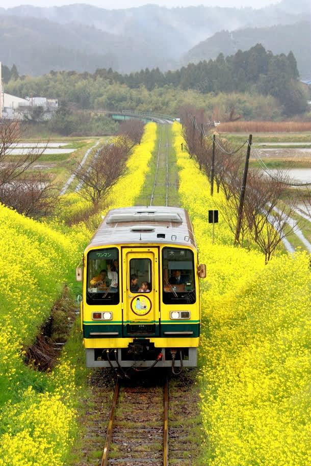 黄色山间火车海报背景jpg设计背景_88icon https://88icon.com 山间 海报 火车 背景 黄色