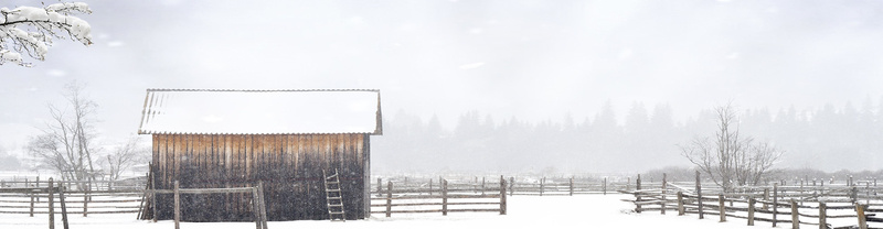 冬天雪景海报banner背景psd设计背景_88icon https://88icon.com 冬天 场地 天猫 幸福 房屋 树 淘宝 温暖 远山 雪景 雪花 雾