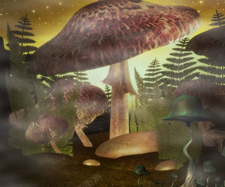 森林中的大蘑菇背景