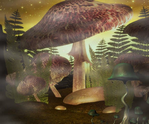 森林中的大蘑菇jpg设计背景_88icon https://88icon.com 其它类别 图片素材 森林 森林中的大蘑菇图片 森林中的大蘑菇图片素材下载 植物 背景图案 背景花边 蘑菇