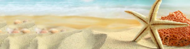 沙滩的海星jpg设计背景_88icon https://88icon.com 沙滩 海星