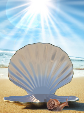蓝天眼光光芒贝壳蜗牛海滩沙滩背景背景