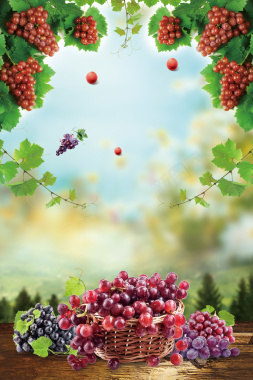 新鲜采摘葡萄水果促销海报创意海报背景