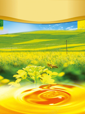 黄色油菜花蜜蜂海报背景背景