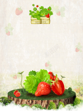夏季草莓采摘宣传海报背景背景