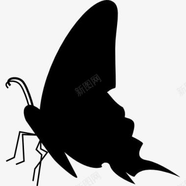 蝴蝶黑色侧面剪影图标图标