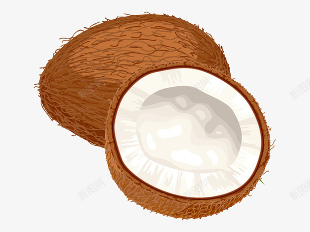 卡通椰子壳png免抠素材_88icon https://88icon.com 卡通 手绘 椰子壳 简图