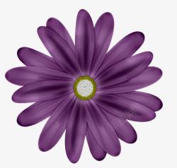 手绘紫色雏菊素材