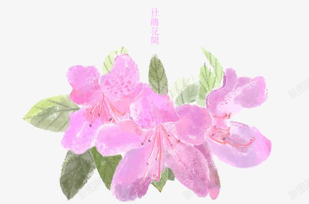 杜鹃花开png免抠素材_88icon https://88icon.com 卡通杜鹃花 杜鹃花 植物 粉色 绿叶