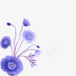 紫色唯美小花朵素材