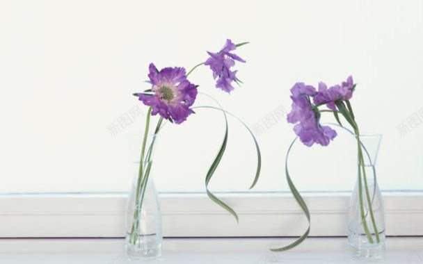 深紫色小花绿叶装饰背景