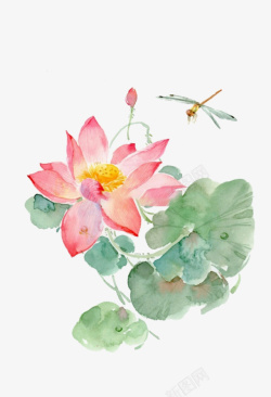 昆虫蜻蜓中国风水墨荷花高清图片