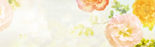 唯美大气花朵海报背景jpg设计背景_88icon https://88icon.com 天猫背景 广告背景 海报背景 淘宝背景 清新背景 花卉背景 花朵背景 鲜花背景