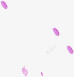粉紫色飘落花瓣素材