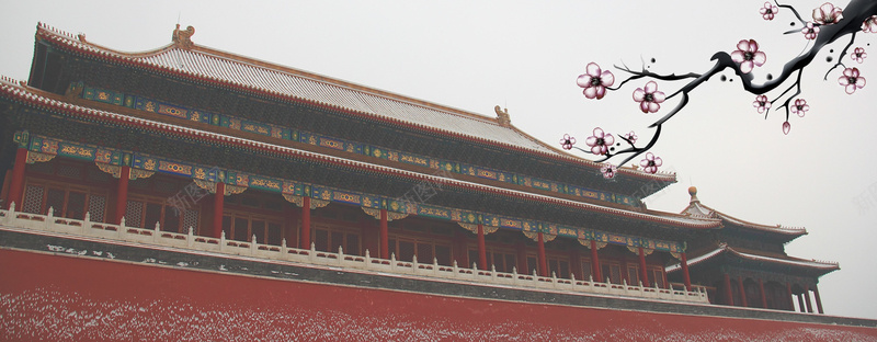 复古中国风故宫建筑角楼花枝背景