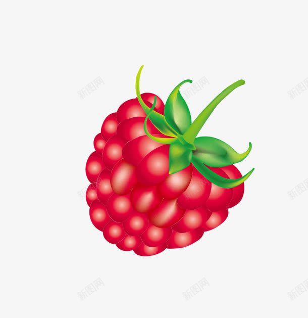 红色树莓png免抠素材_88icon https://88icon.com 手绘 果实 树莓 水果 食物