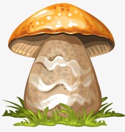 硕大硕大蘑菇高清图片