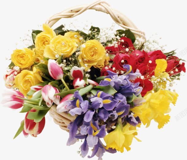 一簇花朵png免抠素材_88icon https://88icon.com 紫色 花朵 花篮 黄色