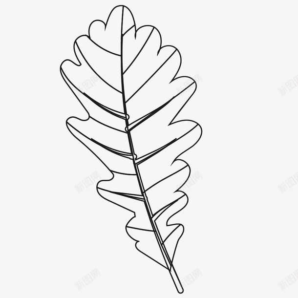 手绘小清新黑白装饰画png免抠素材_88icon https://88icon.com 卡通装饰 小清新插画 广告设计 手绘装饰设计 海报设计 黑白树叶插画