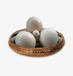鸵鸟蛋鸡蛋儿素材