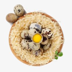 鹌鹑蛋食材一窝鹌鹑蛋高清图片