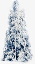 摄影创意白色的圣诞树素材