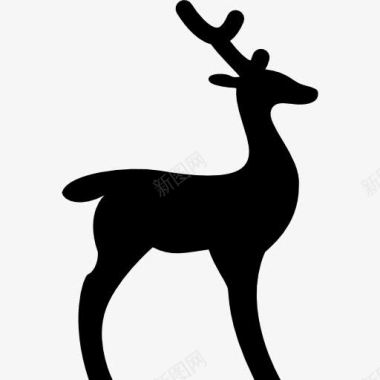 野生动物鹿朝右图标图标
