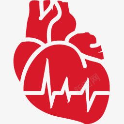 card心脏病学红色的医学的图标图标