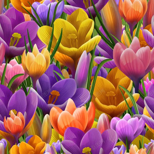 鲜花底纹背景jpg设计背景_88icon https://88icon.com 图片素材 布纹 底纹 底纹背景 材质 纹理 纹理图片 纹理素材 背景底纹 背景纹理 背景花边 鲜花 鲜花底纹背景图片 鲜花底纹背景图片素材下载
