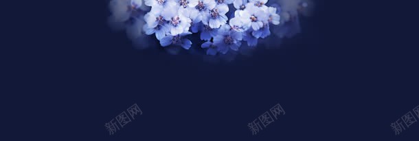 梦幻花朵背景bannerjpg设计背景_88icon https://88icon.com banner 梦幻 背景 花朵