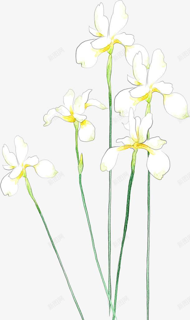 白色唯美手绘花朵风景png免抠素材_88icon https://88icon.com 白色 花朵 风景