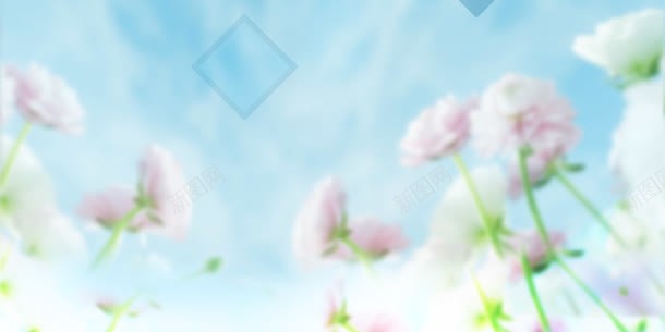 蓝天下的梦幻粉色花朵jpg设计背景_88icon https://88icon.com 梦幻 粉色 花朵 蓝天