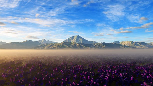 山下的紫色花丛海报背景背景