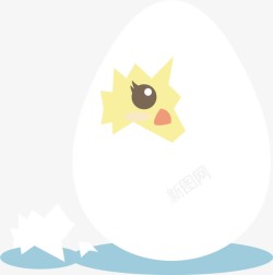 禽类蛋类鸡蛋孵化高清图片