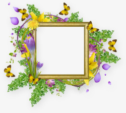 植物花卉蝴蝶边框素材