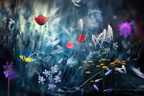 草地花丛海报背景jpg设计背景_88icon https://88icon.com 海报 背景 花丛 草地