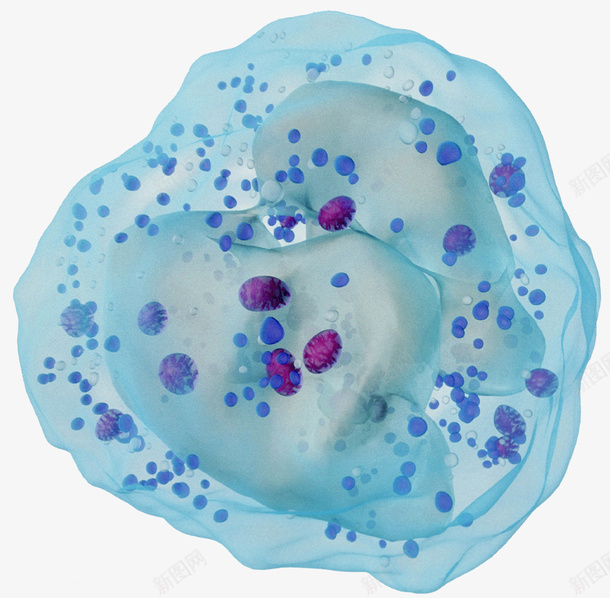 免疫系统白细胞png免抠素材_88icon https://88icon.com 免疫系统 抗体 浆细胞 白细胞