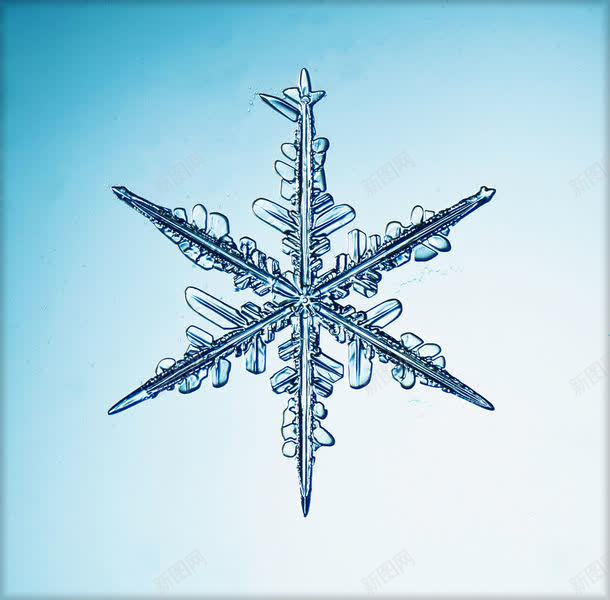 雪花冰凌jpg设计背景_88icon https://88icon.com 其它类别 冰凌 图片素材 圣诞节素材 结冰 背景花边 雪花 雪花冰凌图片 雪花冰凌图片素材下载